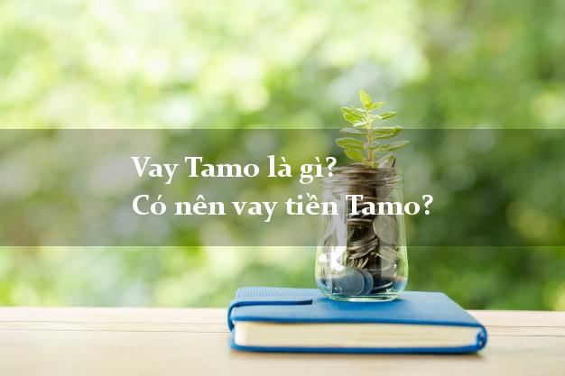 Vay Tamo là gì? Có nên vay tiền Tamo?